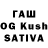 Псилоцибиновые грибы MAGIC MUSHROOMS Patel Bhartbhai