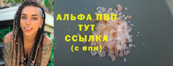 гашик Белокуриха